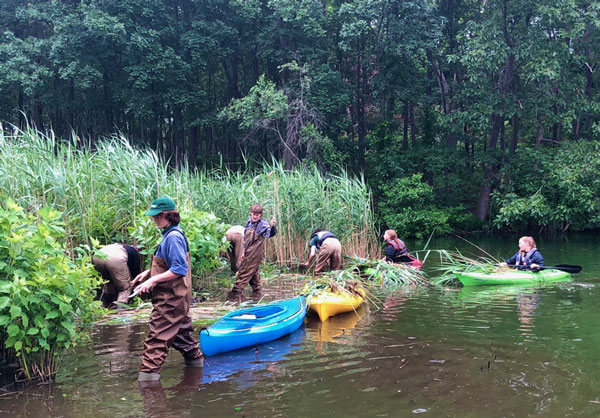 Volunteers in the river