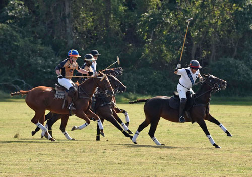 Polo Players