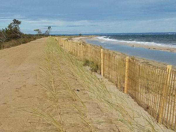 Walking the Shoreline