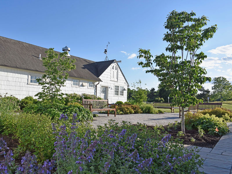 Courtyard Garden