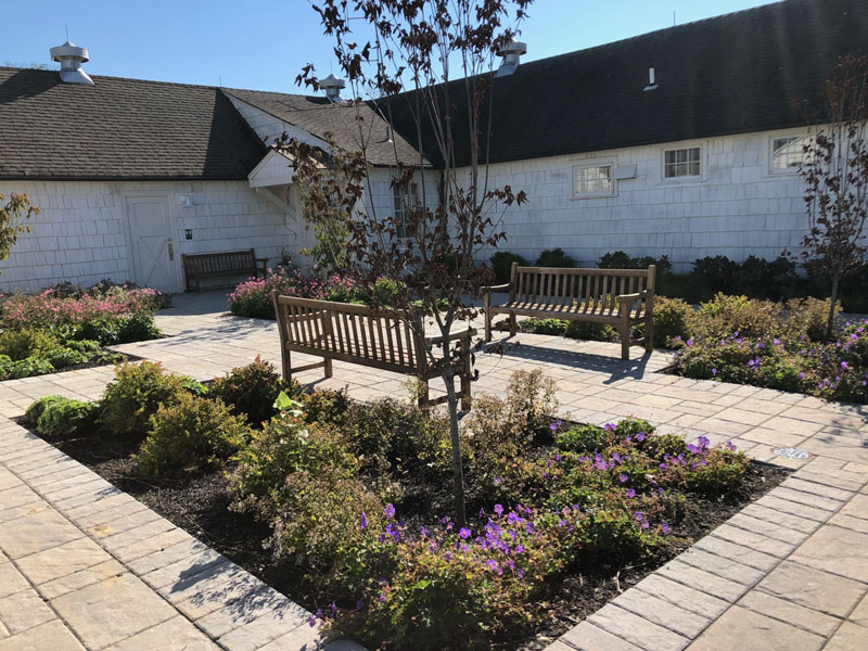 Courtyard Garden