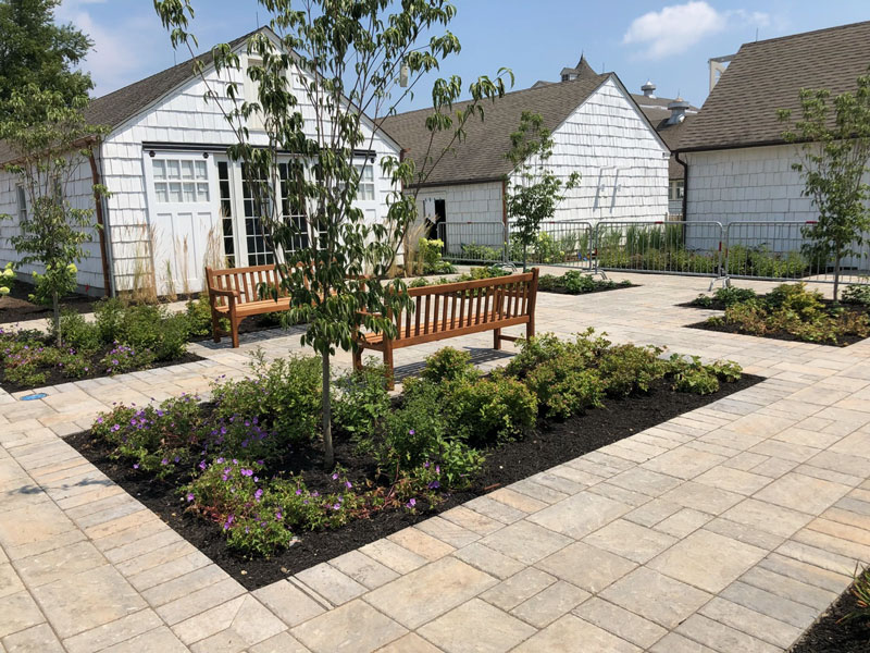 Courtyard Garden