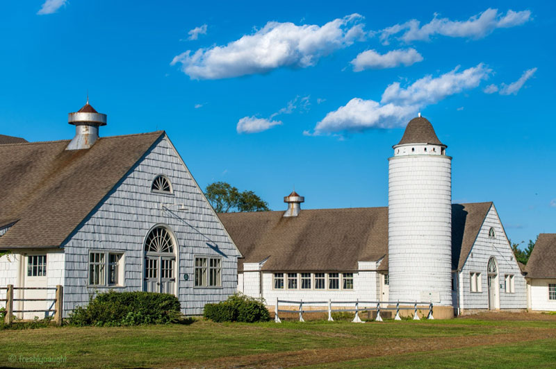 Dairy Barn Photo