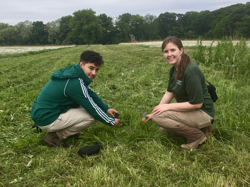 Interns measuring vegetation