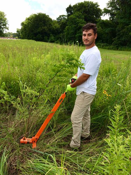 Intern with weed wrench