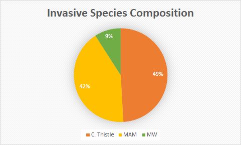 Invasive Species Composition Pie Chart