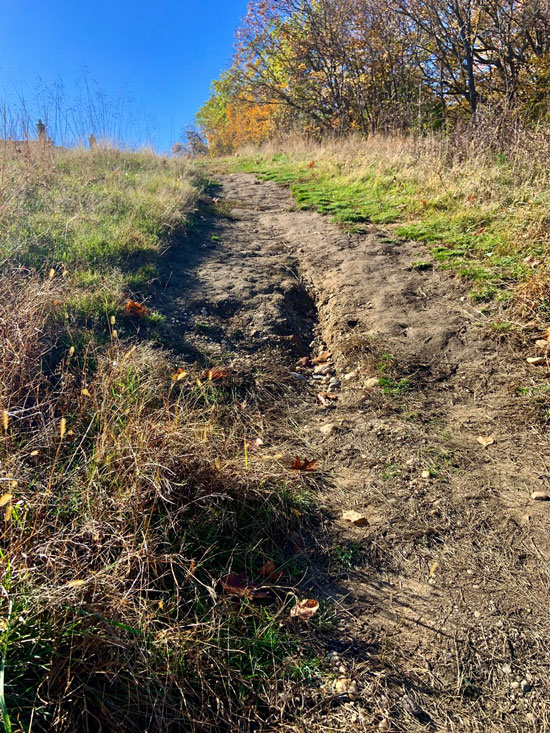 Trail