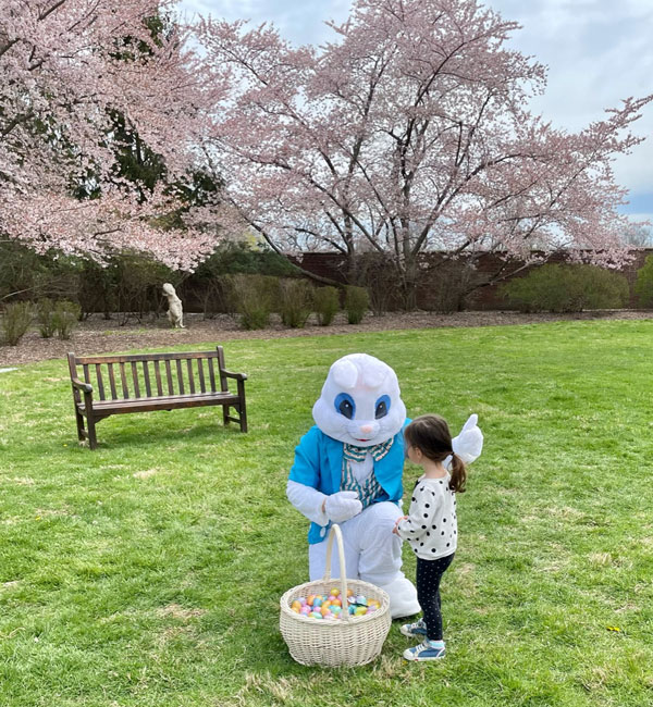 Walled Garden Easter