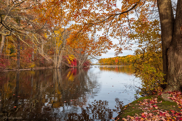 river in autumn